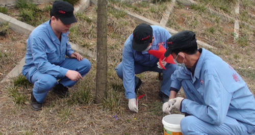 丹凤对丹江河绿地进行专业病媒生物消杀