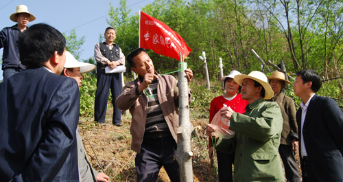 商南党员干部组织果树栽培教育活动