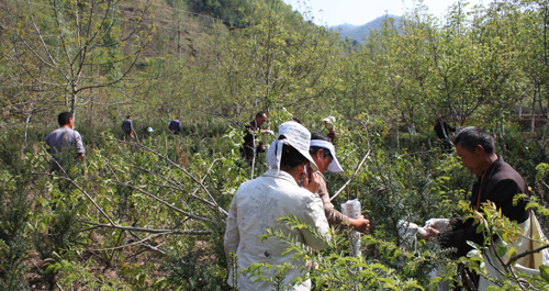 利用国家财政部独家“大学技术推广项目”