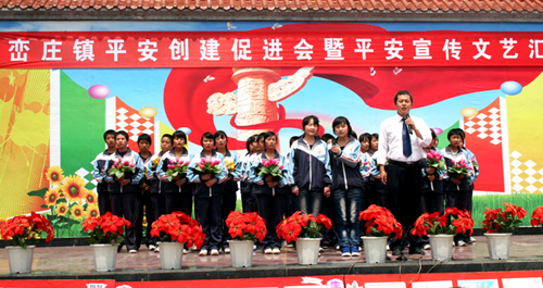丹凤峦庄镇开展平安创建工作促进会