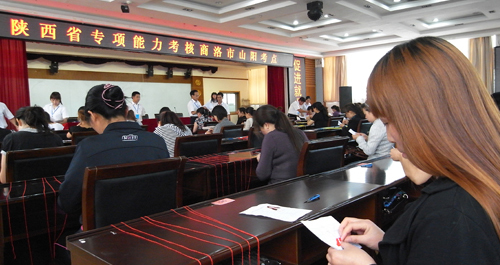 山阳85名农民通过十字绣专项职业技能考核