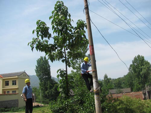洛南县城关镇加强农电安全排查备“三夏”