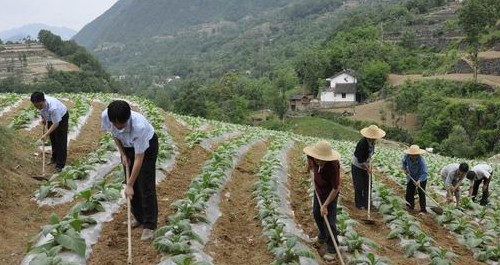 镇安政法干警开展进农户，帮致富活动