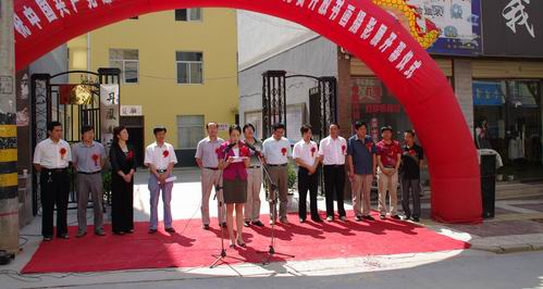 丹凤县率先启动全省三馆免费开放工程