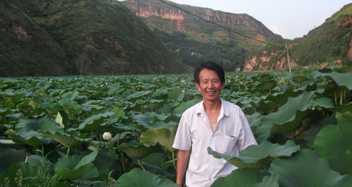 荷花怒放 十里飘香