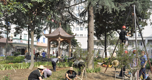 镇安县医院绿地布局花坛建设完工