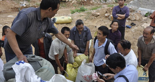 米粮镇五味子喜获丰收