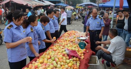 洛南县植保植检站开展果品市场检疫