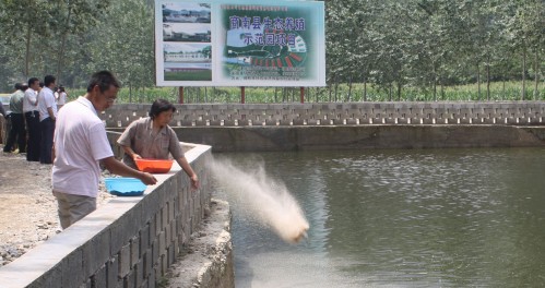 商南县大力推动循环农业发展