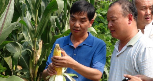 商南县农业局二十一名干部深入十里坪