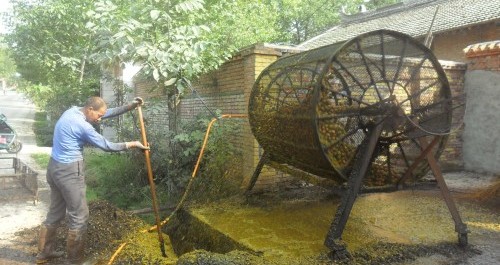 核桃脱皮机在洛南大显身手