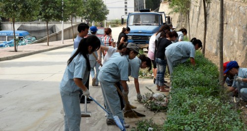 镇安青槐社区确保城区创园工作快速顺利进行