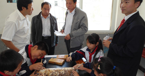 峡河小学开设袋料香菇栽培技术培训课程
