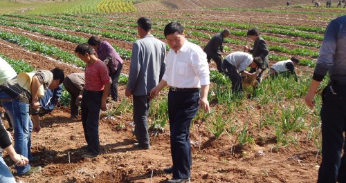 景村镇百名干部走出机关和群众一起忙秋播