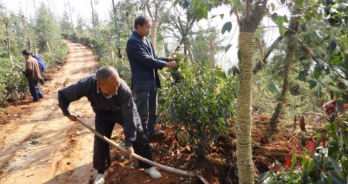 龟山公园二期已完成总工程量百分之七十