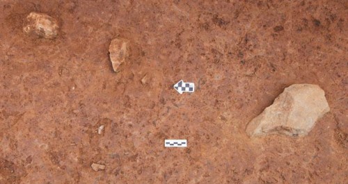 洛南张豁口旧石器地点发掘取得重要突破