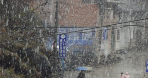 丹凤北部各镇普降大雪