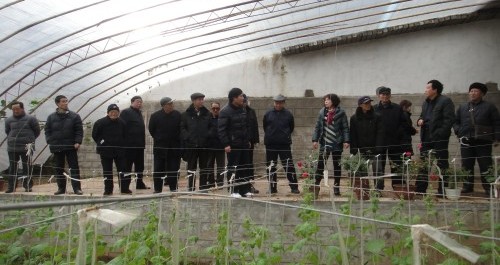 丹凤县老干局组织离退休老干部观摩重点项目