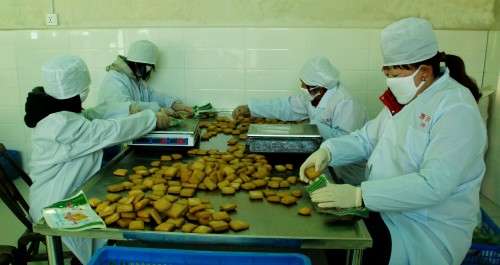 洛南县新建两家豆制品加工厂