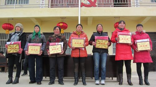 张家村倡导敬老孝亲 好媳妇隆重表彰奖励