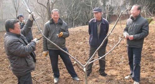 张底村里春意浓