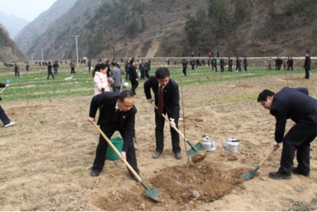 山阳县检察院干警积极参加植树活动
