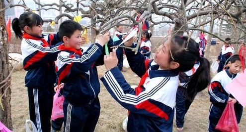 洛南县小学生们为小树挂爱心卡