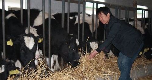 洋桥村的循环产业链