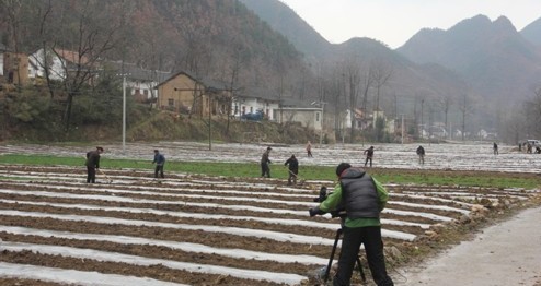 中央电视台现场直播商州春耕生产