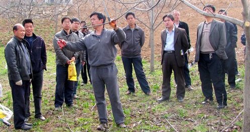 洛南县政协深入包扶村