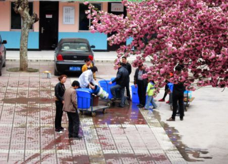 凤镇街村启动自来水改造工程