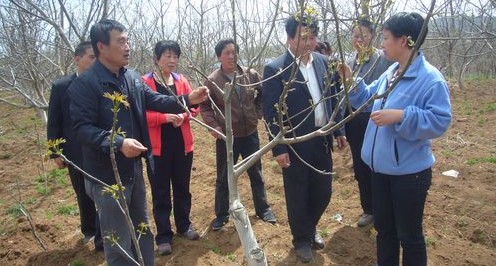 专家到商州现场指导救灾