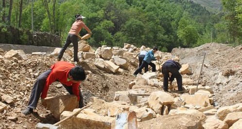 银花镇叶家湾村组织劳力抢修护田河堤