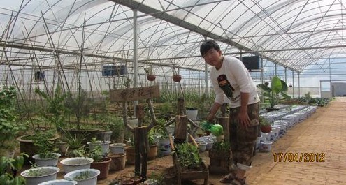 夜村镇绿缘设施蔬菜大棚基地实行综合农业开发