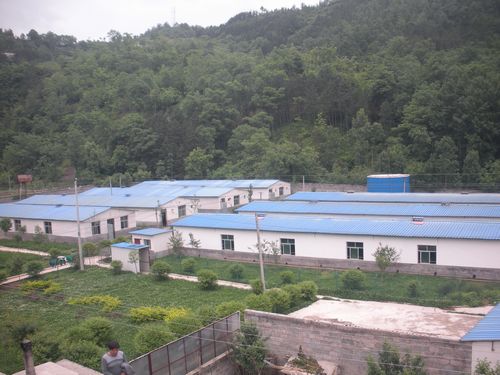 生猪养殖走上生态循环致富路