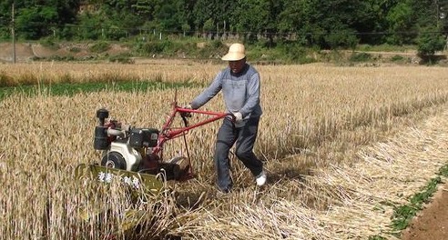 商南县大力推广小型小麦收割机