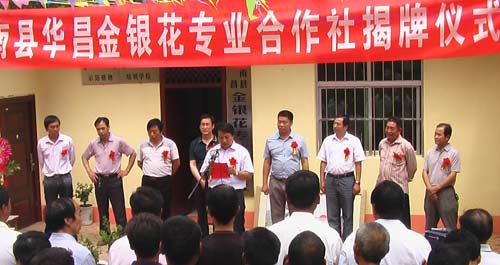 洛南华昌金银花合作社举行揭牌仪式