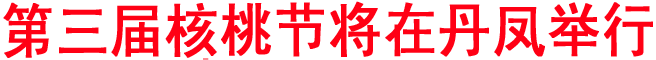 第三届商洛核桃节将于今年举行 丹凤获得举办权