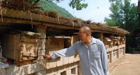 养蜂能人的甜蜜生活