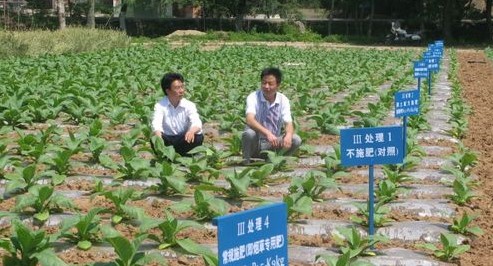 洛南县农技中心实施测土配方施肥项目