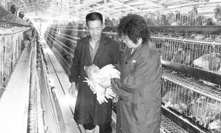 商南县科技特派员帮助农民增收致富