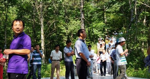 镇安县木王国家森林公园成为休闲避暑好去处