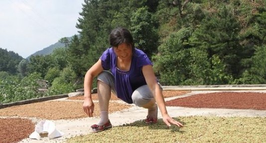 柞水县：靠山养山促民增收