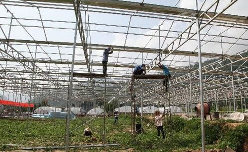 镇安强力推进镇云生态循环高效现代农业产业园建设