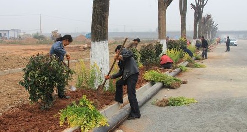 商州区省级重点镇建设进展快速推进
