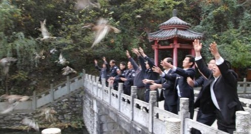 商南放归获救野鸭百余只