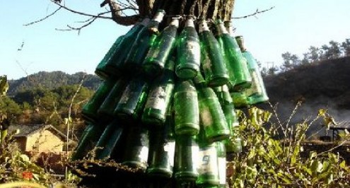 丹凤农民防鼠出奇招