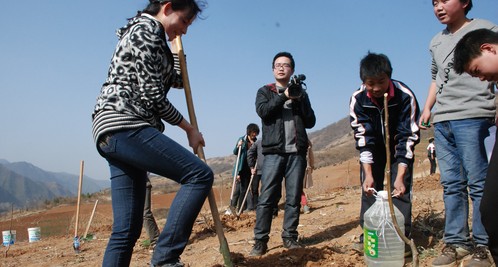 商南干部职工义务栽植核桃苗
