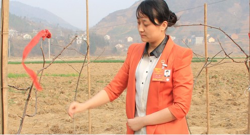 从土门村到人民大会堂