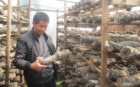 山阳：新技术带来新发展